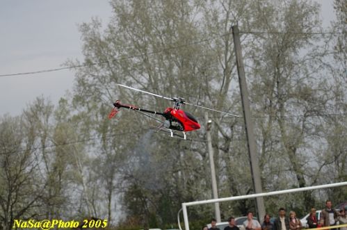 DSC_7791.JPG
