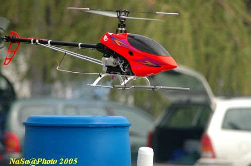 DSC_7796.JPG