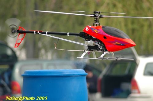 DSC_7798.JPG