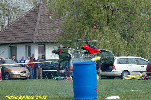 DSC_7803.JPG
