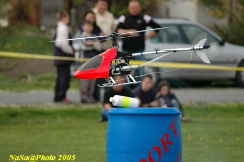 DSC_7833.JPG