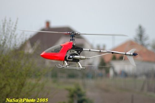 DSC_7834.JPG