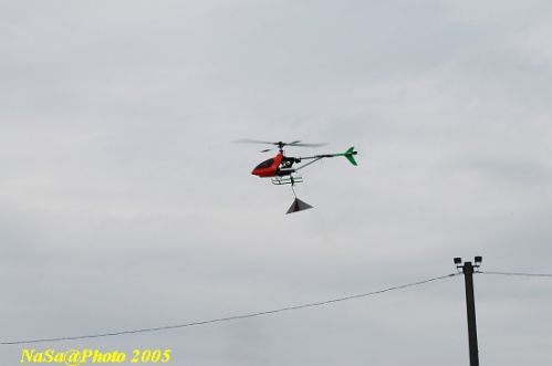 DSC_7843.JPG