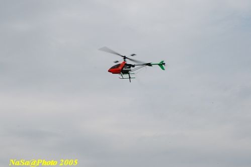 DSC_7844.JPG