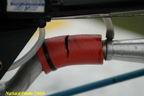 DSC_7854.JPG