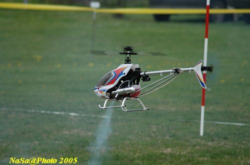DSC_7857.JPG