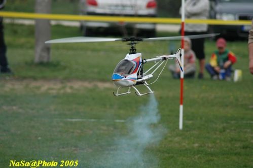 DSC_7862.JPG
