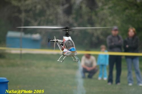DSC_7864.JPG