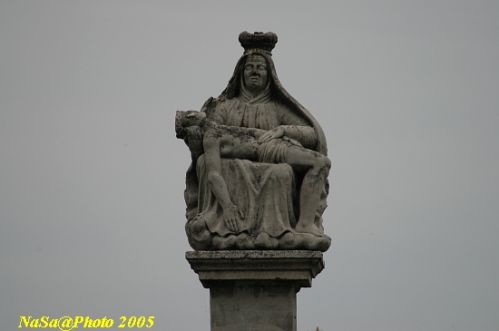 DSC_7873.JPG