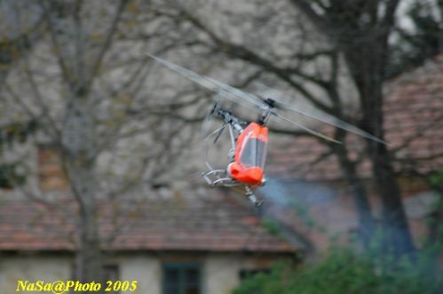 DSC_7881.JPG