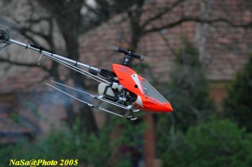 DSC_7882.JPG