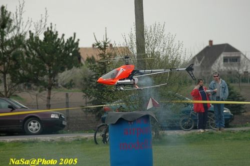 DSC_7890.JPG