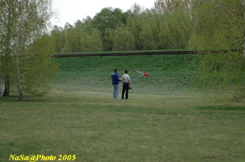 DSC_7894.JPG