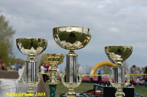 DSC_7902.JPG