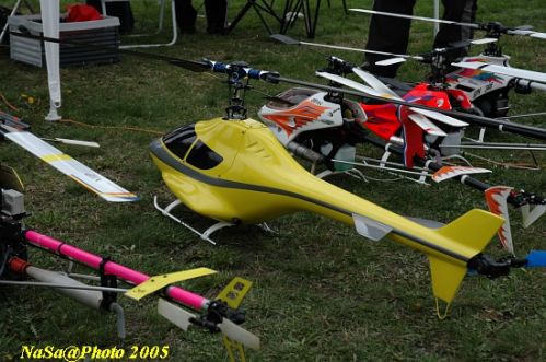 DSC_7912.JPG