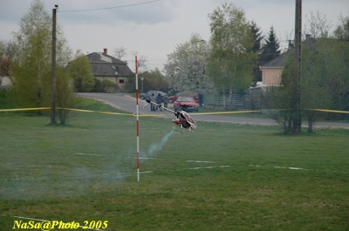 DSC_7916.JPG