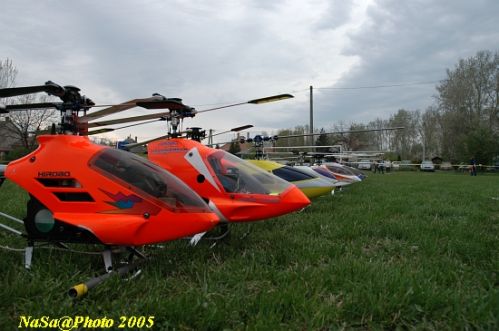 DSC_7923.JPG