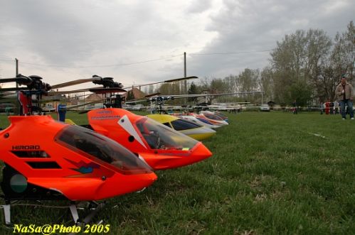DSC_7924.JPG