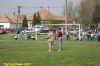 DSC_7817.JPG