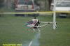 DSC_7861.JPG