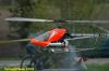DSC_7887.JPG
