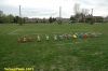 DSC_7918.JPG