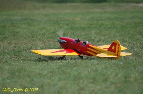 DSC_8765.JPG