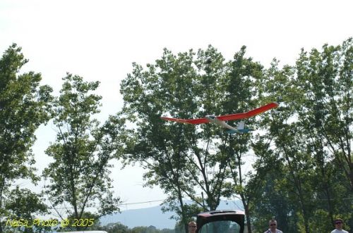 DSC_8787.JPG