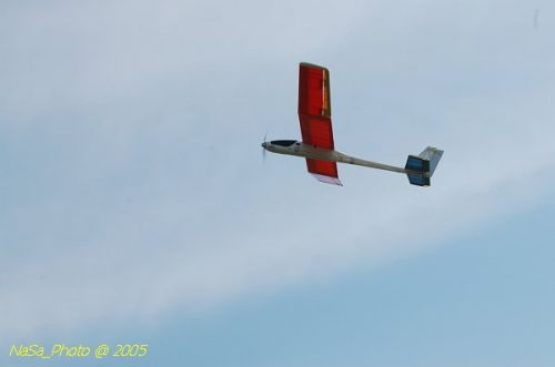 DSC_8790.JPG