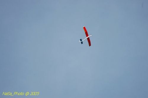 DSC_8797.JPG