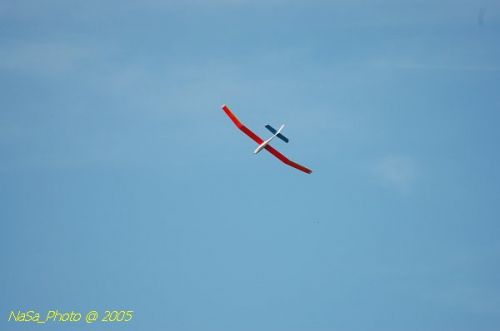 DSC_8801.JPG