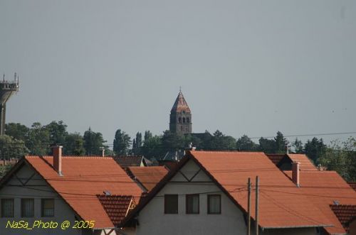DSC_8817.JPG