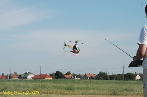 DSC_8818.JPG