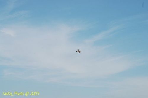 DSC_8819.JPG