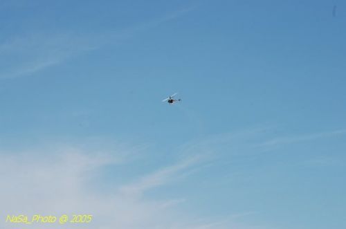 DSC_8820.JPG