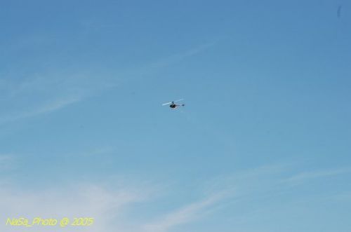 DSC_8821.JPG
