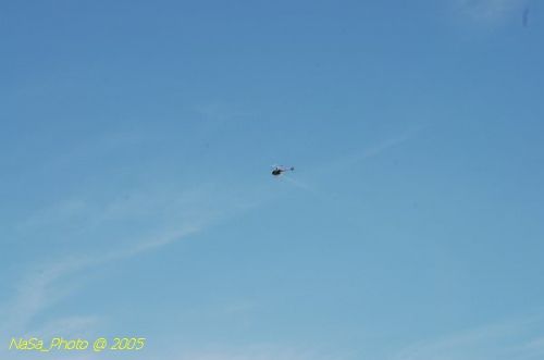 DSC_8822.JPG