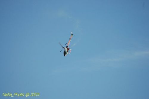 DSC_8824.JPG