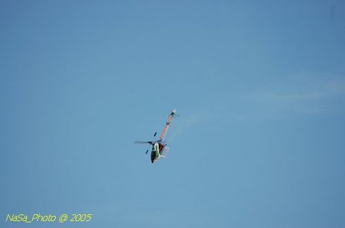 DSC_8825.JPG