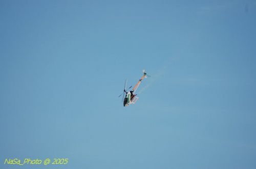 DSC_8826.JPG