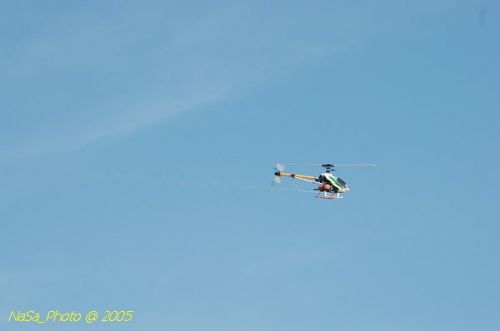 DSC_8829.JPG