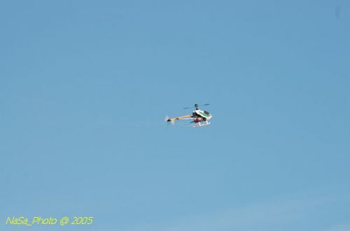 DSC_8830.JPG