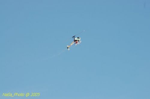 DSC_8831.JPG