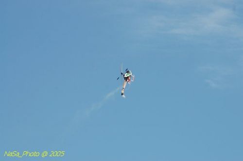 DSC_8833.JPG