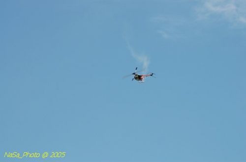 DSC_8835.JPG