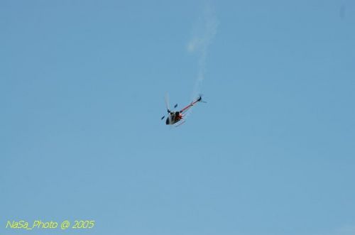 DSC_8836.JPG