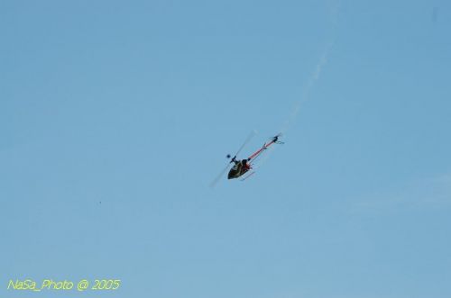 DSC_8837.JPG