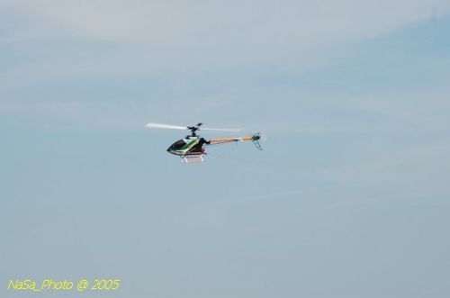 DSC_8840.JPG