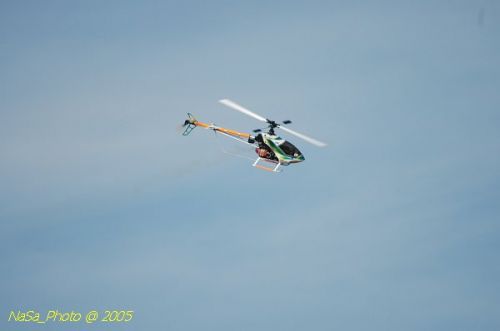 DSC_8841.JPG