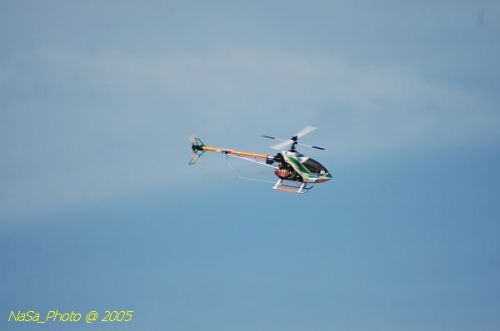 DSC_8842.JPG
